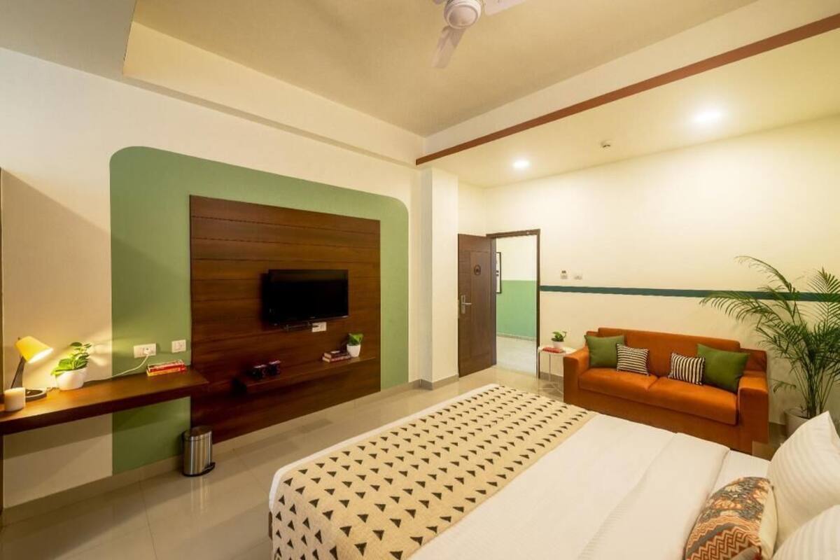 A modern hotel room with a large bed, a TV mounted on a wooden panel, a sofa with cushions, and a potted plant.