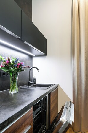 Classic Apartment | Private kitchen | Full-size fridge, microwave, oven, stovetop