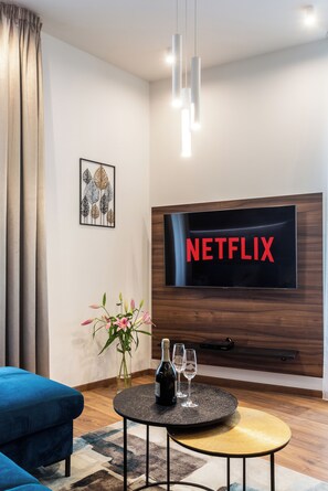 Classic Apartment | Television