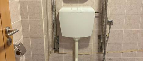 A bathroom with a white toilet, a grab bar, a roll of toilet paper, a trash can, and a shower hose.