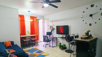 Smart TV, books, computer monitors