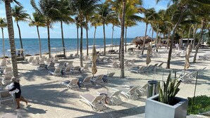 A beachside hotel with sun loungers, palm trees, and a view of the ocean. - Christmas Heaven in Garza Blanca Mexico (Cancun)