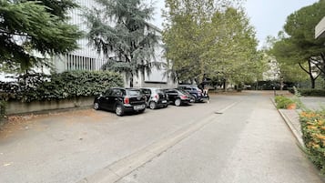 Free self-parking