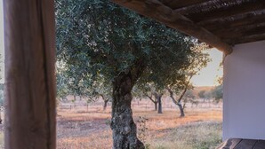 A rustic wooden structure with a tree in the background. - Herdade da Saudade - La Casita (São Pedro Gafanhoeira)