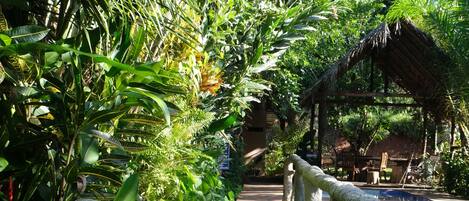 A pathway leading to a pool with a thatched-roof structure in the background.