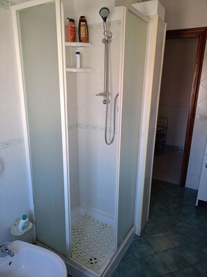 Shower, bidet, towels, soap