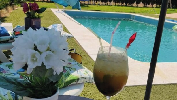 Une table placée au bord de la piscine, avec une boisson, une plante en pot et une piscine en arrière-plan.