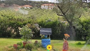 Un jardin avec des plantes en pot, un baril bleu et un tournesol.