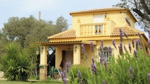 Un bâtiment jaune avec un toit en tuiles, un balcon et un jardin où poussent des plants de lavande.