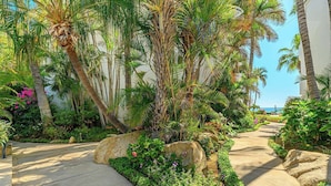 Un jardín tropical con palmeras, un sendero de hormigón y una gran roca como elemento central.
