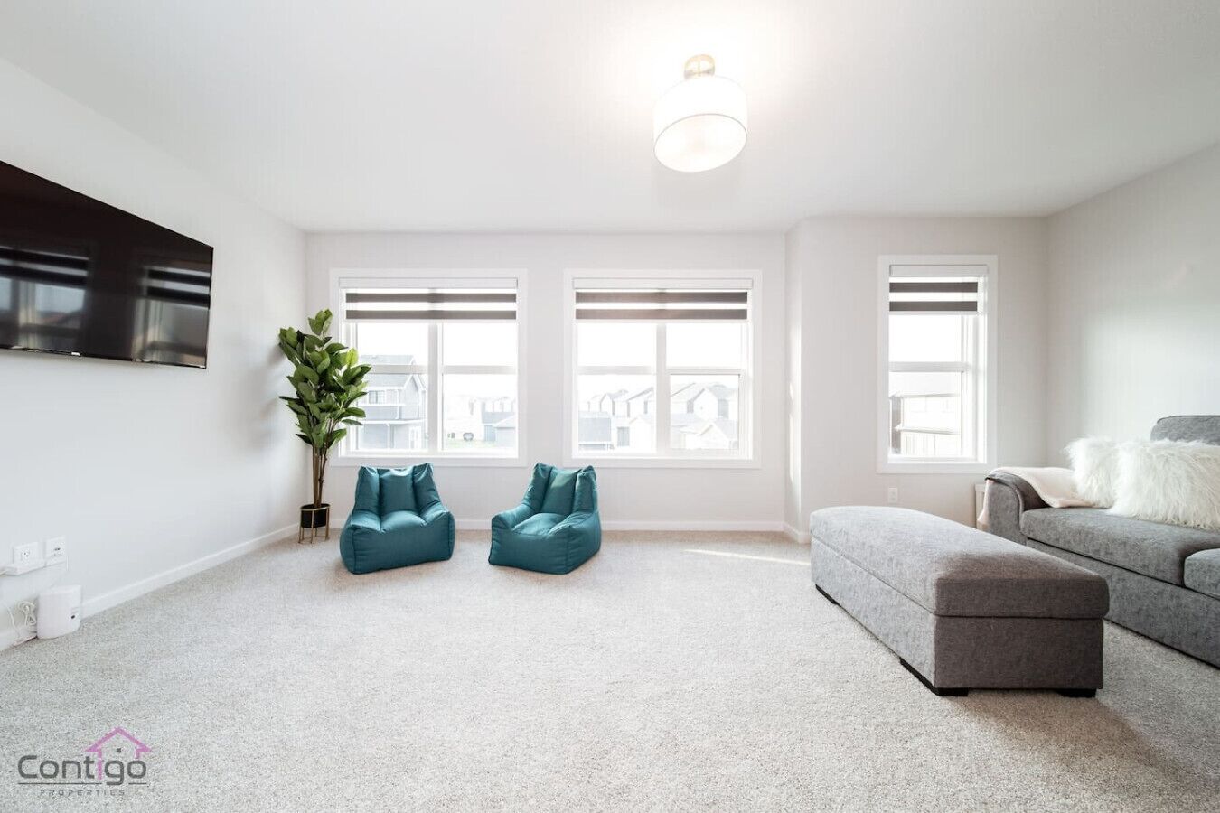 Televisor intel·ligent, llar de foc, llibres i oficines 