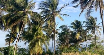 Camping Barbados