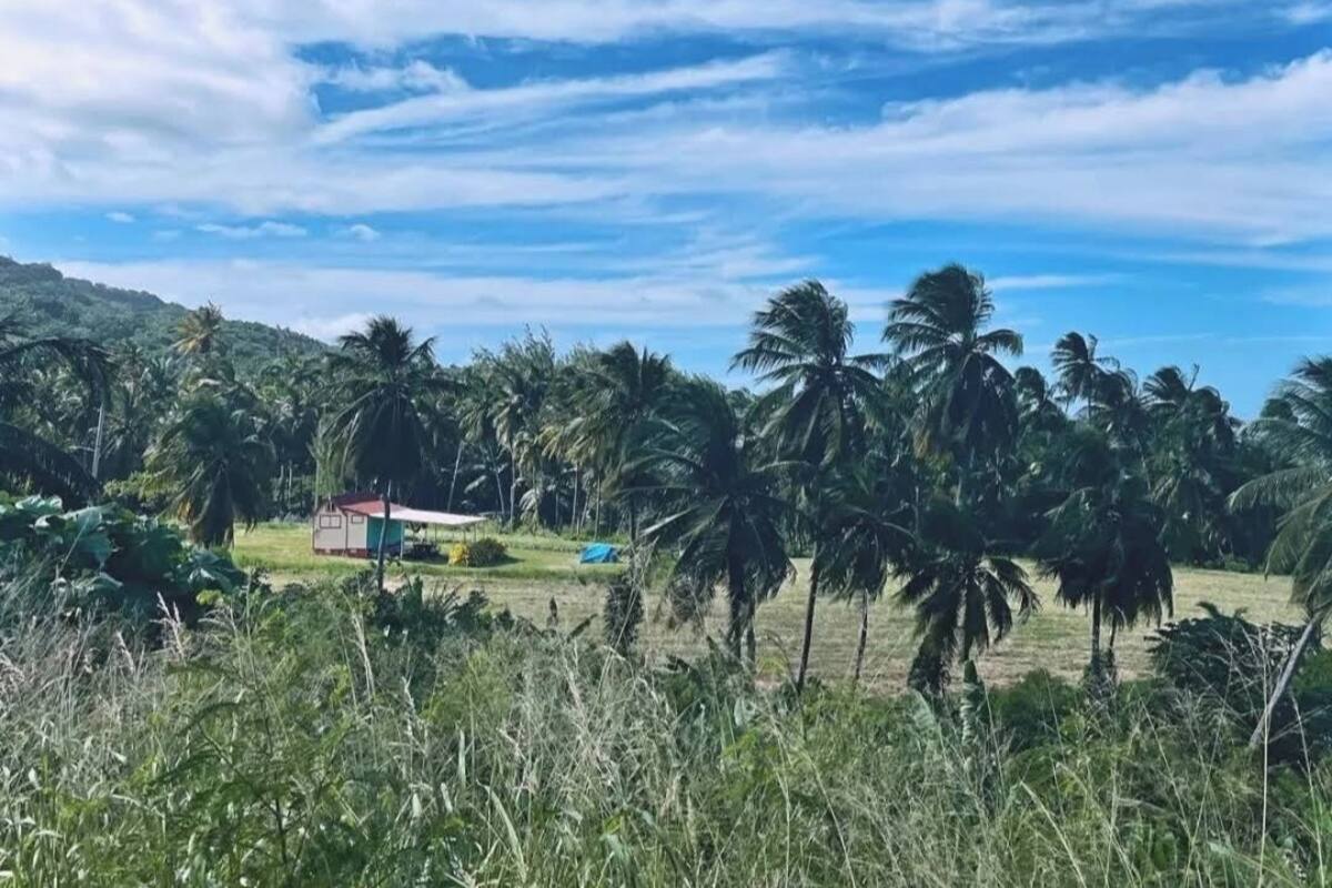 經濟帳篷, 1 間臥室, 海景, 山旁 | 外觀