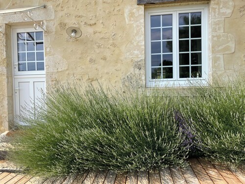 Rent charming vacation home 10 mns from Bellême