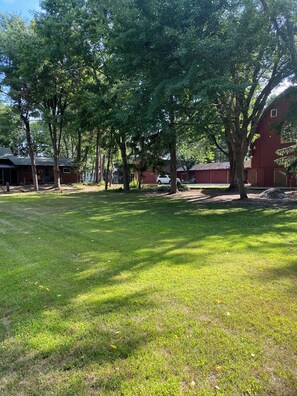 Property grounds - Cozy, country-feel, private, close to everything, for family & friends to gather (Onalaska)