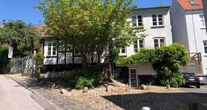 Huset ved Springvandet- Loft