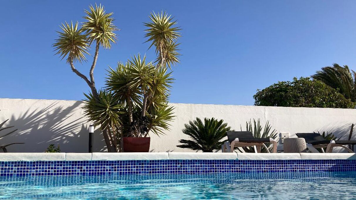 Piscina con baldosas azules, rodeada de sillas de descanso y plantas en macetas.