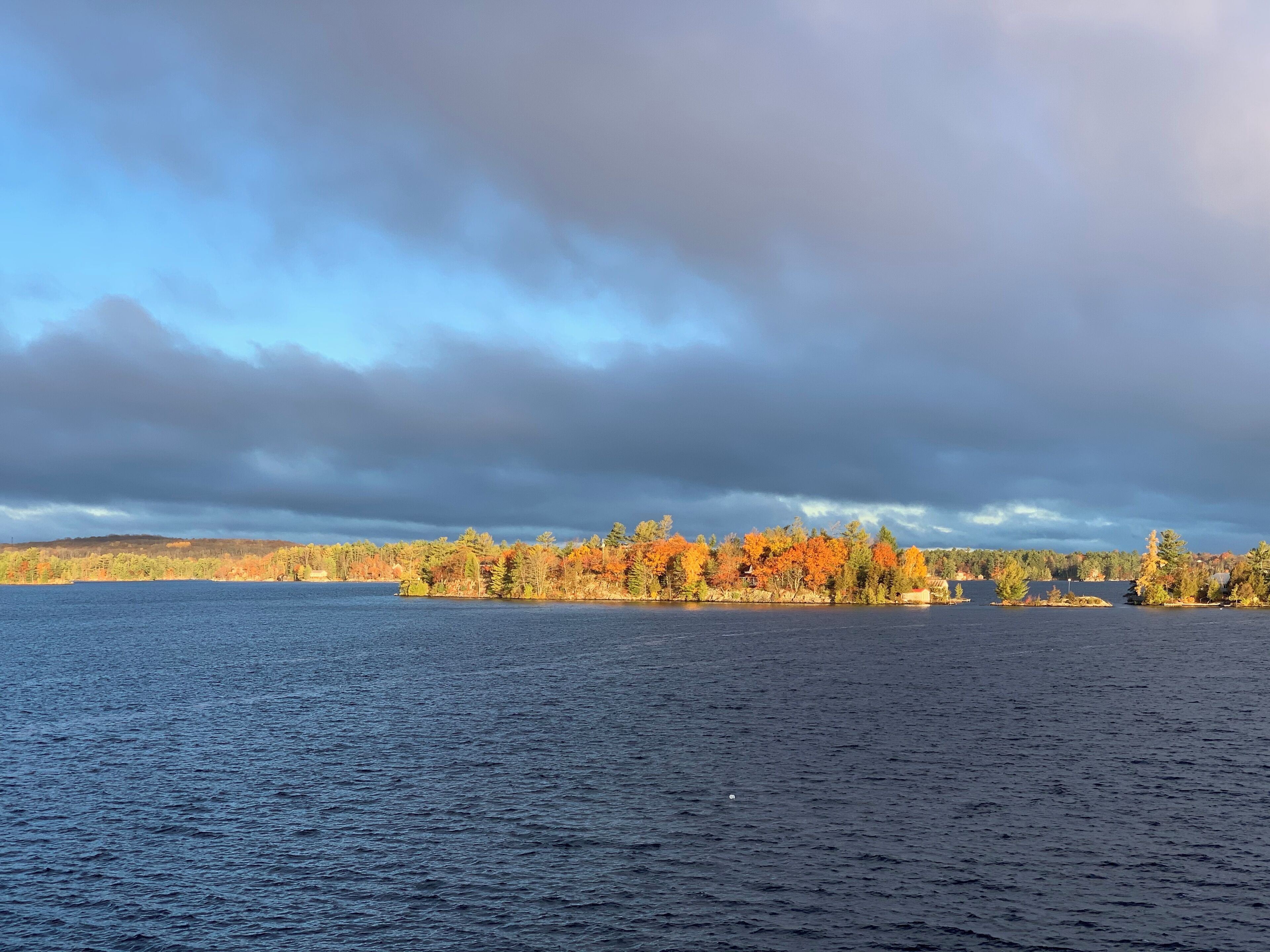 En sjö med en skogbeklädd strand och en molnig himmel.