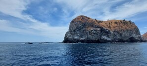 House | 2 bedrooms - Apartment in Mar Vista-pool-balcony-ocean View-bbq Casa Ayla B (Cabo Velas)