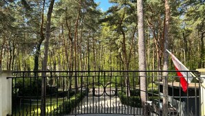 A gated entrance to a property with a paved driveway leading to a building.