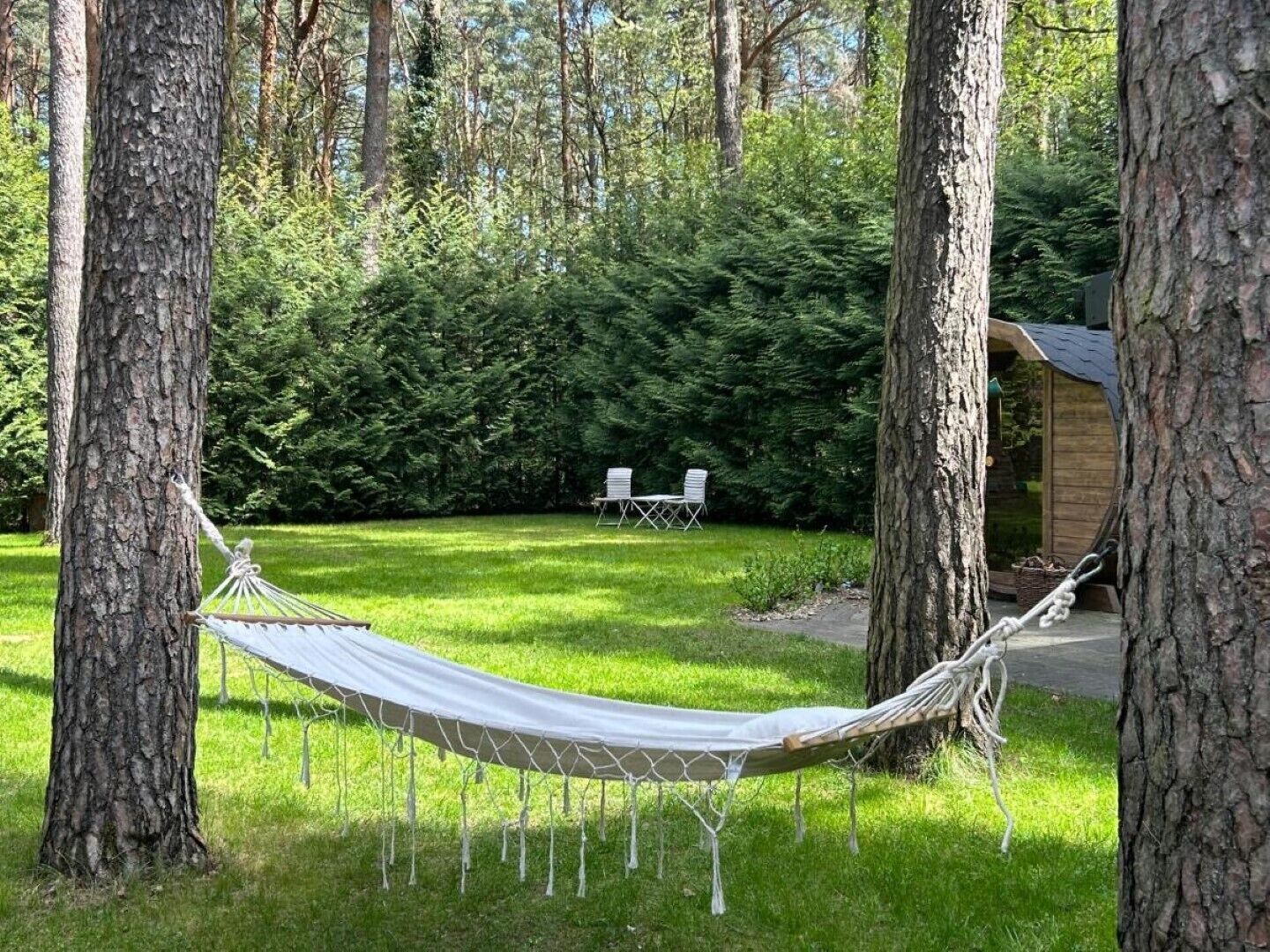 En hängmatta spänd mellan träd i ett skogsområde, med en trähus och ett bord med stolar i bakgrunden.