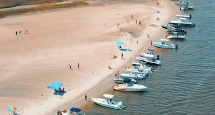 🐬LARGE DESIGNER COASTAL HOME DOCK,DOLPHINS,fishing 🐚 LONG Corporate Rentals,PETS