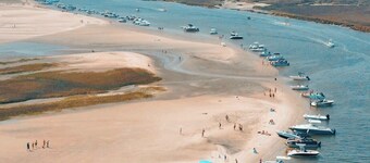 🐬LARGE DESIGNER COASTAL HOME DOCK,DOLPHINS,fishing 🐚 LONG Corporate Rental+beds
