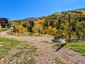 A gravel path leading to a building with a modern design, surrounded by a forested hillside. -  Modern Mountain Retreat - Ski-in-out - Heated Pool and Hot Tub (Steamboat Springs)