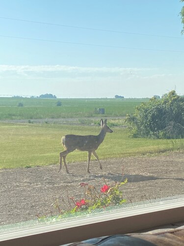 Quiet,, tranquil, nature, side by sideing , fishing,