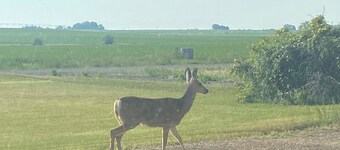 Quiet,, tranquil, nature, side by sideing , fishing,