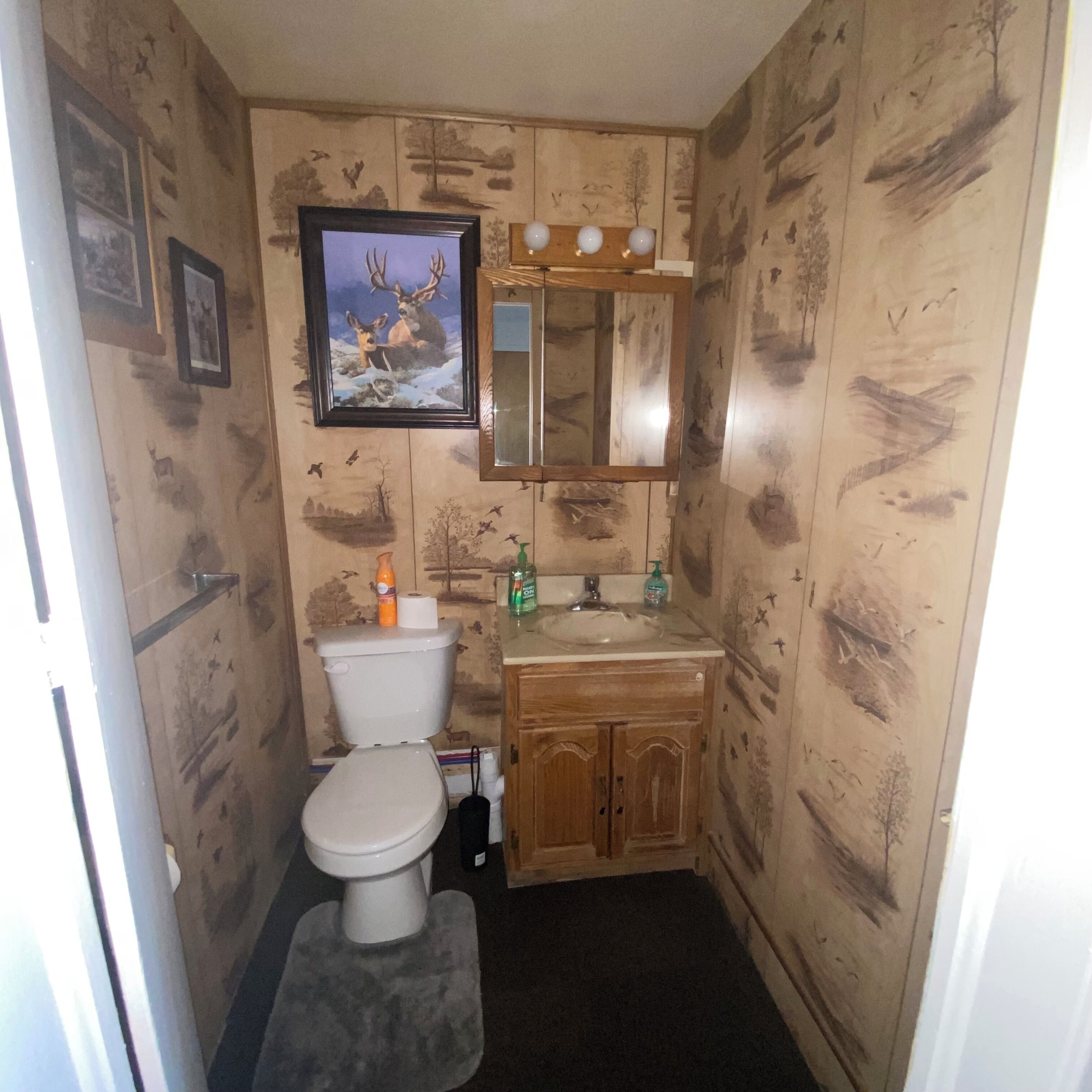 A bathroom with wooden panel walls, a framed deer painting, a wooden cabinet, and a sink with toiletries.