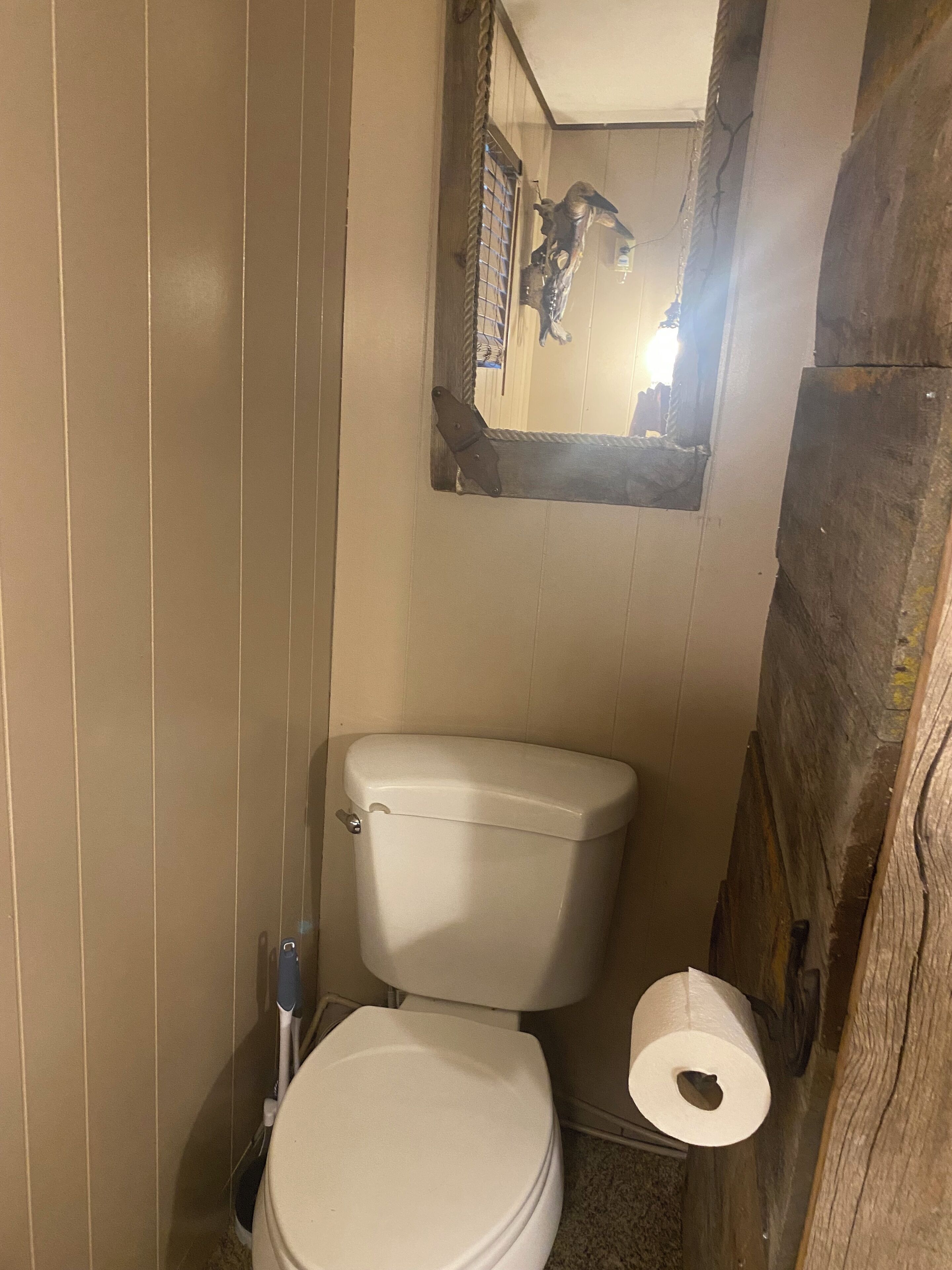 A small, narrow bathroom with a toilet, a mirror, and a roll of toilet paper.