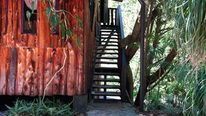 A wooden cabin with a staircase leading to a deck, surrounded by dense foliage. - TreeTop House Getaway, Fairy Magic Rustic Elegance in the Cloud Forest, 3 Levels (Monteverde)