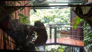 A view through a window with a wooden structure and greenery outside. - TreeTop House Getaway, Fairy Magic Rustic Elegance in the Cloud Forest, 3 Levels (Monteverde)