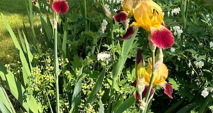 Beautiful renovated Farmhouse on Seneca Lake. Finger Lake Wine Trail.