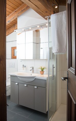 Douche, séchoir à cheveux, serviettes fournies