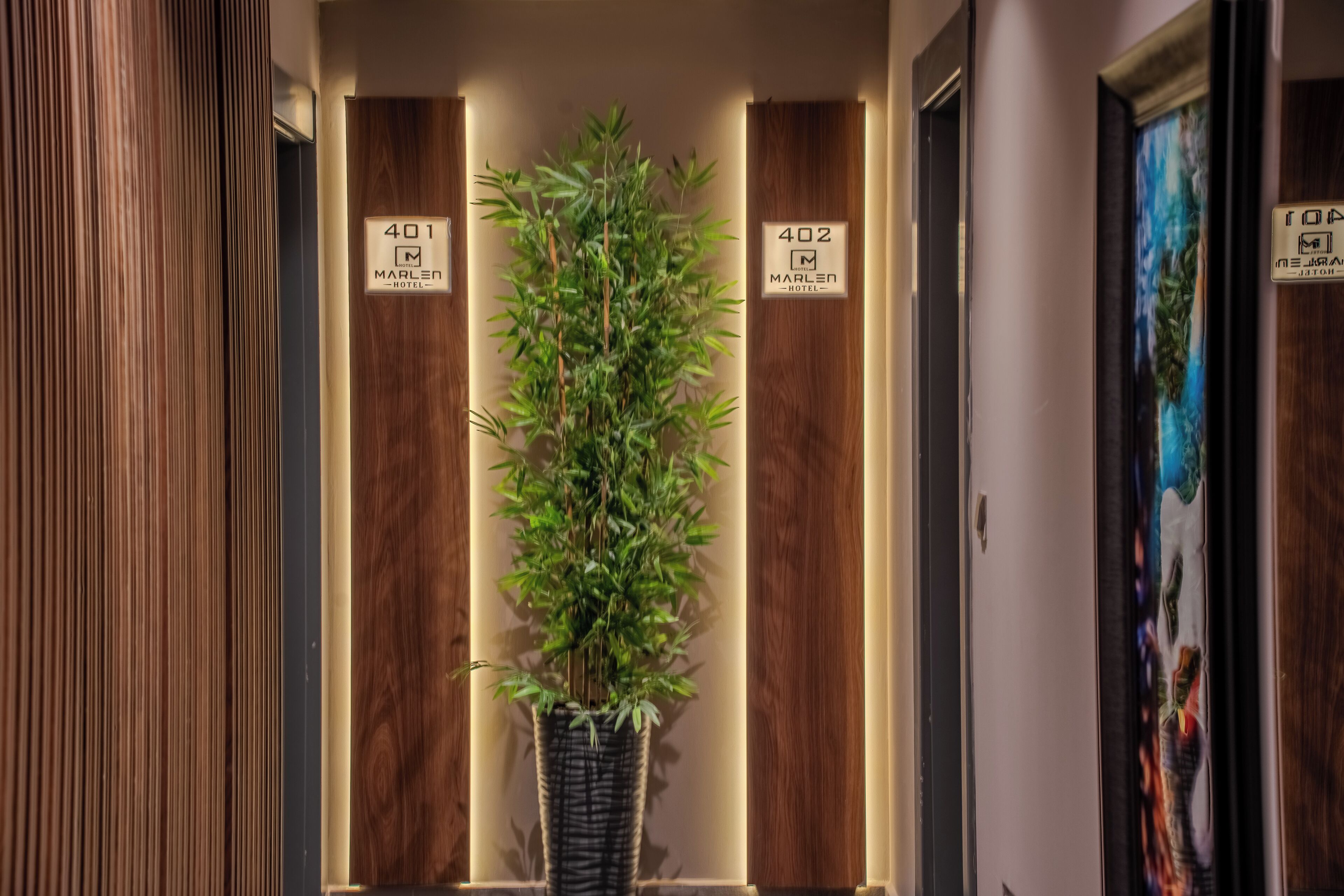 Un pasillo con paneles de madera, una planta en maceta y los números de habitación 401 y 402.