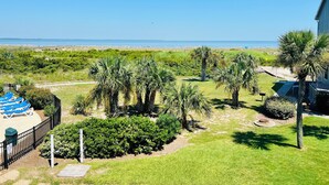 Vista di una proprietà sul lungomare con area piscina, palme e spiaggia libera.