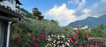 Leave stress behind in this spacious oasis of serenity rich in history and nature...