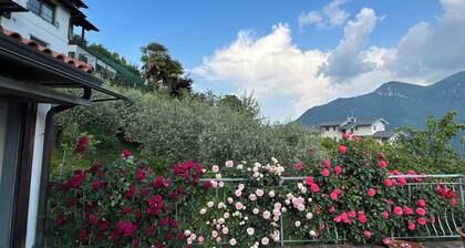 Leave stress behind in this spacious oasis of serenity rich in history and nature...