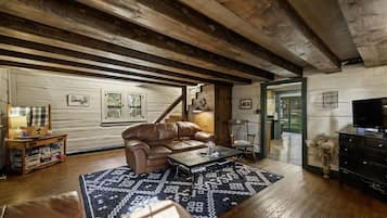 TV, fireplace, books