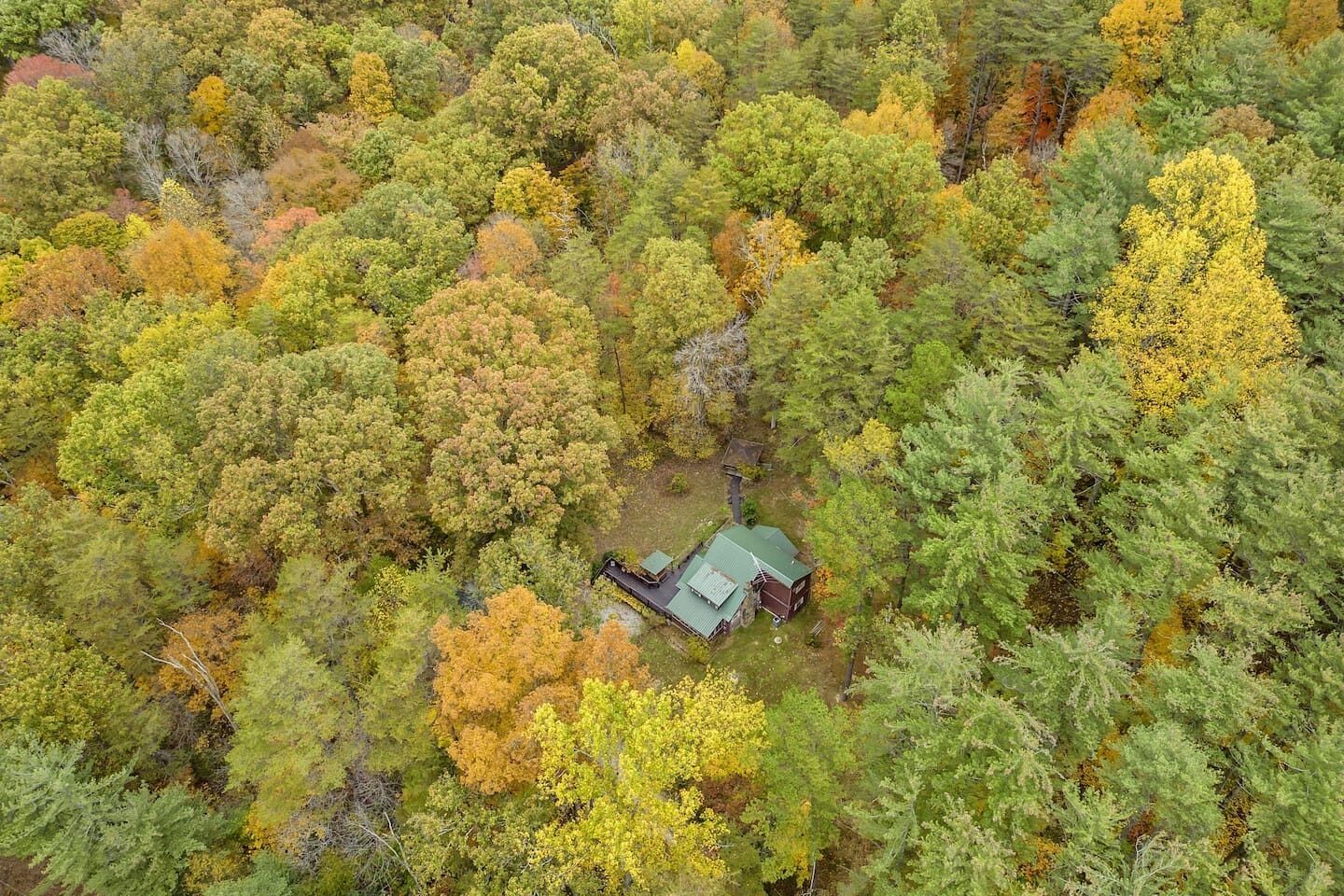 An aerial view of a forested area with a cabin featuring a green roof and a small porch.