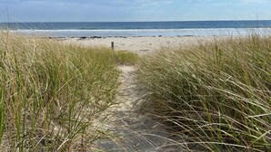 Un sentier de sable qui longe la plage et mène à l’océan, bordé d’herbes hautes.
