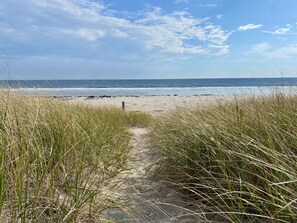 Chaises longues, serviettes de plage