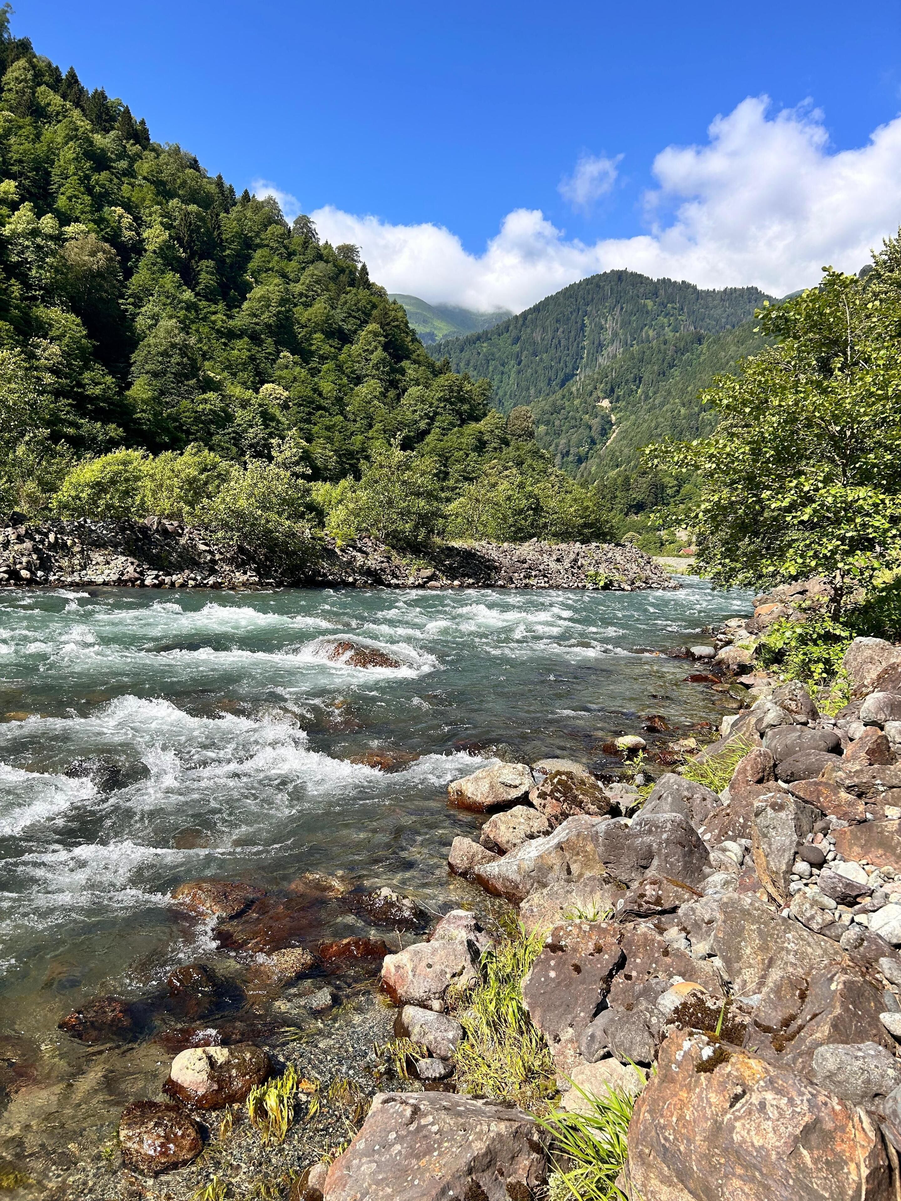 A river flowing through a rocky landscape with dense forested hills in the background.