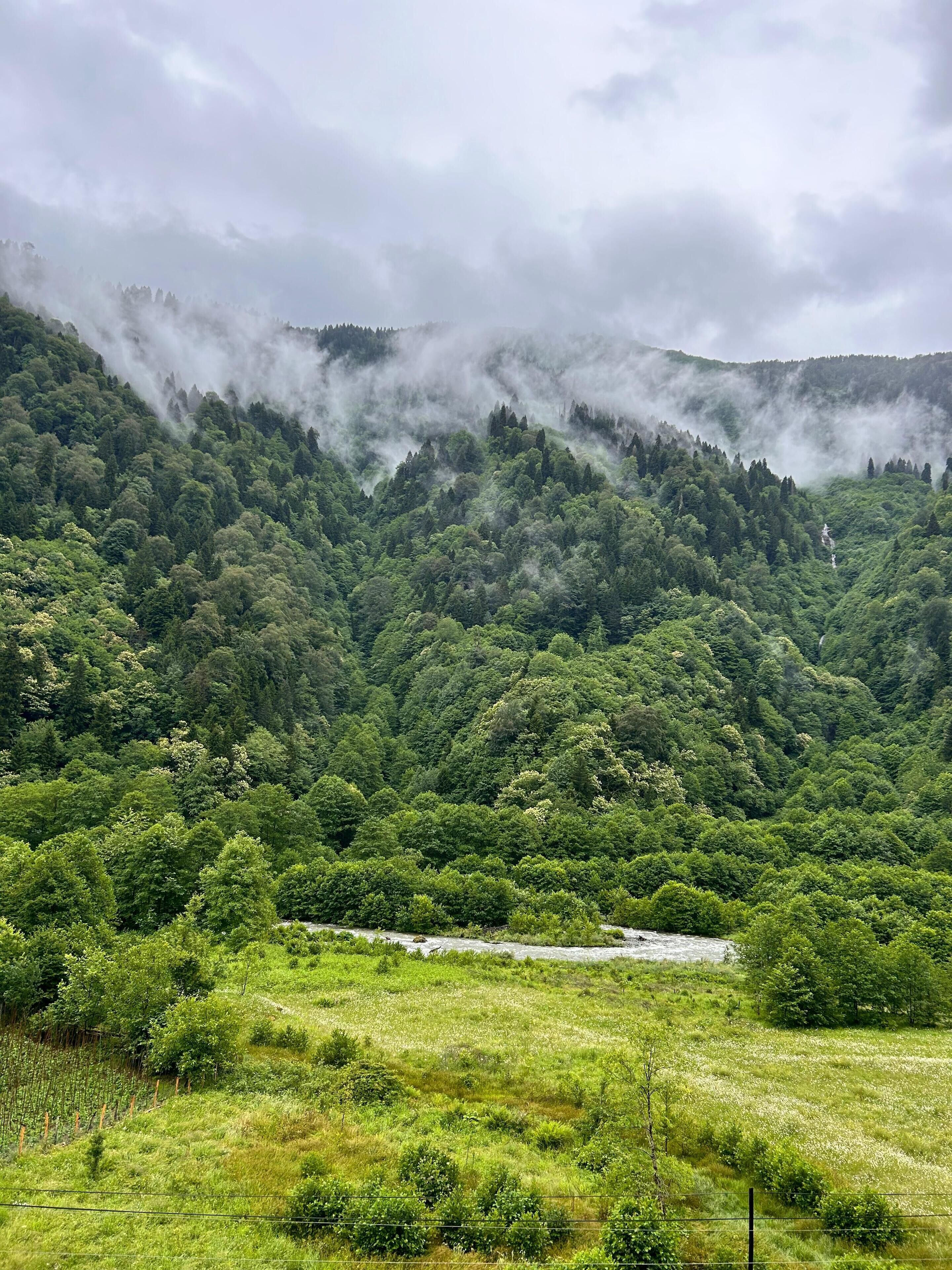 Une vallée verdoyante et luxuriante, traversée par une rivière, bordée d’une forêt dense et dominée par des montagnes enveloppées de brume.
