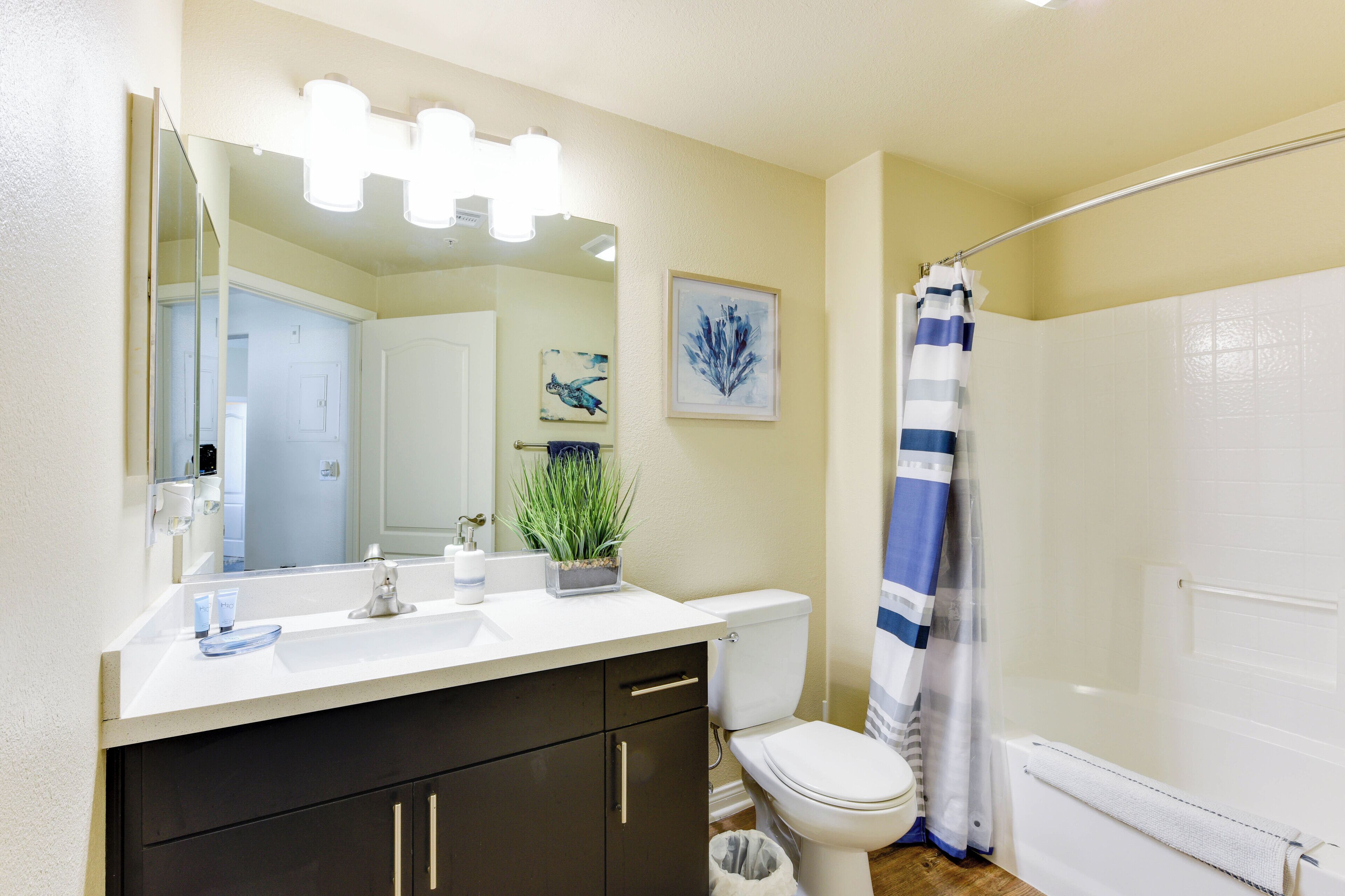 Hair dryer, towels, soap, shampoo
