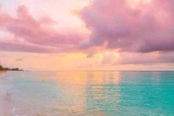 Plage, chaises longues, serviettes de plage