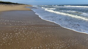 Point of interest - Oceanwalk Beach and Sun / New Smyrna Beach  (New Smyrna Beach)