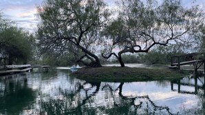 A calm lake with a wooden dock and a tree in the center. - Peek-a-Moo Apt w/patio, paddle boating (Raymondville)